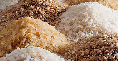 پژوهشی بر واردات برنج برای جلوگیری از تاثیر سموم بر آن در شرکت IGI